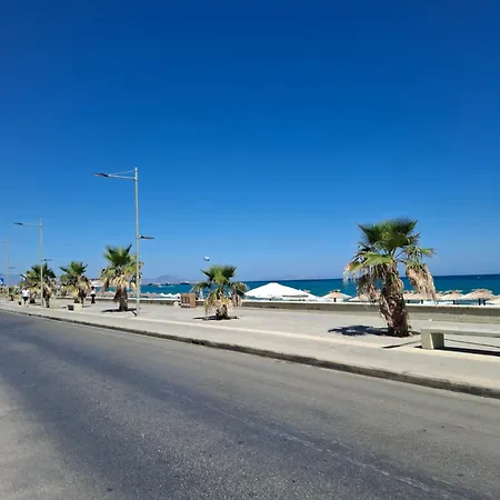 Cactopia Apartments- Hoya-aeonium *