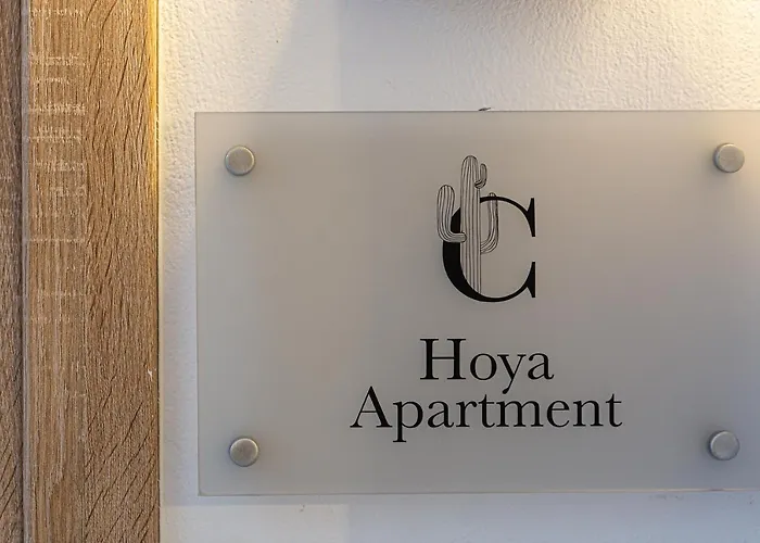 Apartamento Cactopia Apartments- Hoya-aeonium *