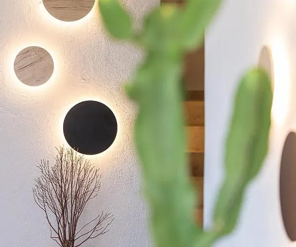 Apartamento Cactopia Apartments- Hoya-aeonium *