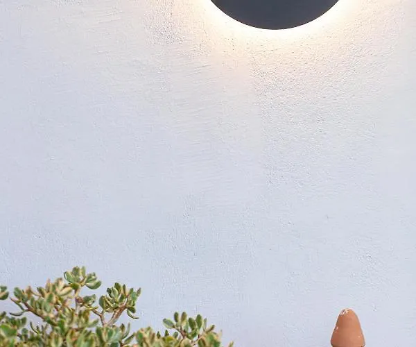 Cactopia Apartments- Hoya-aeonium Rétino