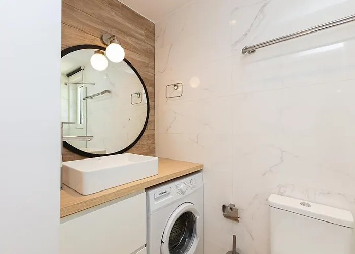 Cactopia Apartments- Hoya-aeonium *