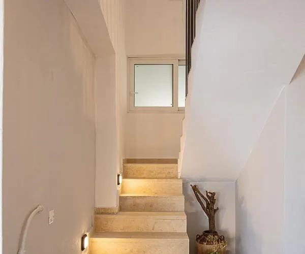 Cactopia Apartments- Hoya-aeonium *