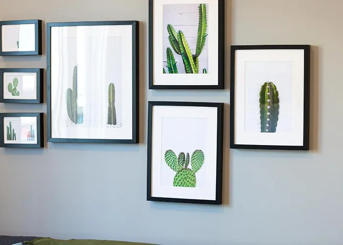 Cactopia Apartments- Hoya-aeonium