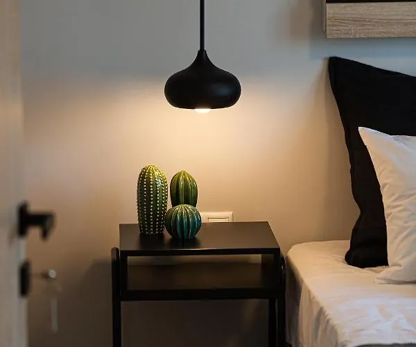 Apartamento Cactopia Apartments- Hoya-aeonium *