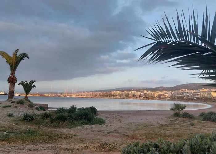 Cactopia Apartments- Hoya-aeonium Rétino