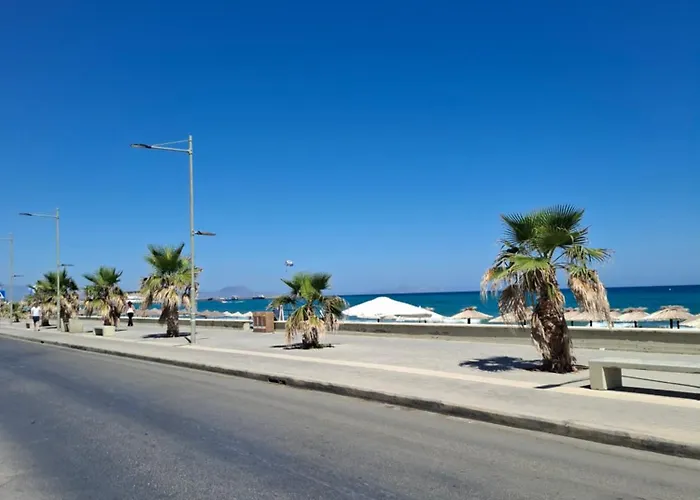 Cactopia Apartments- Hoya-aeonium *