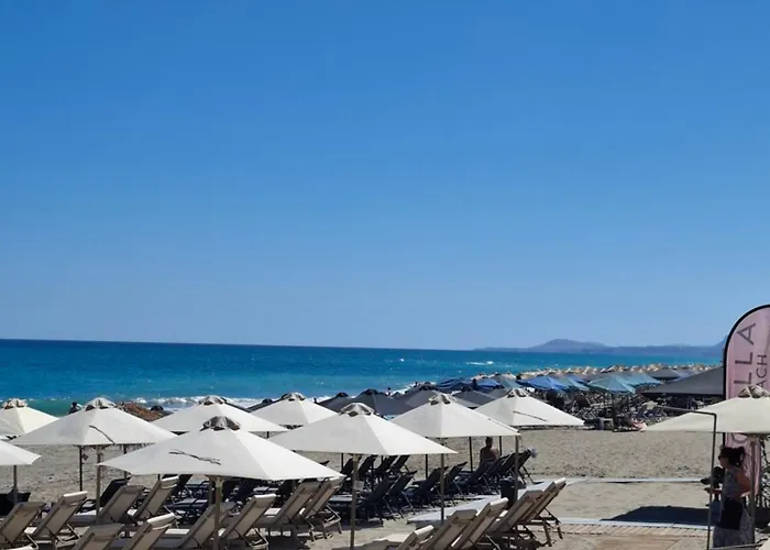 Cactopia Apartments- Hoya-aeonium Apartamento