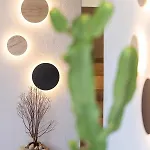 아파트 Cactopia Apartments- Hoya-aeonium *