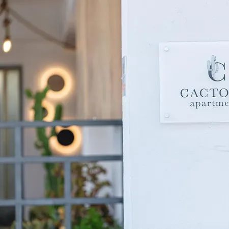 Apartament Cactopia Apartments- Hoya-aeonium *