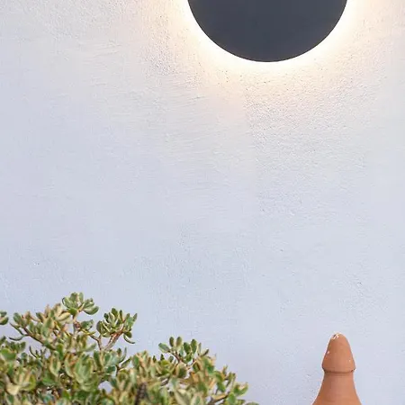 Cactopia Apartments- Hoya-aeonium 罗希姆诺