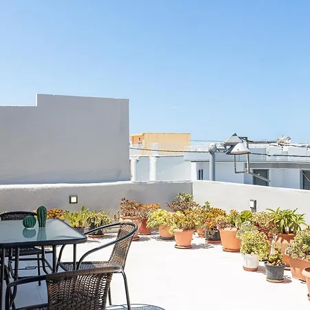Cactopia Apartments- Hoya-aeonium Lägenhet Rethymno