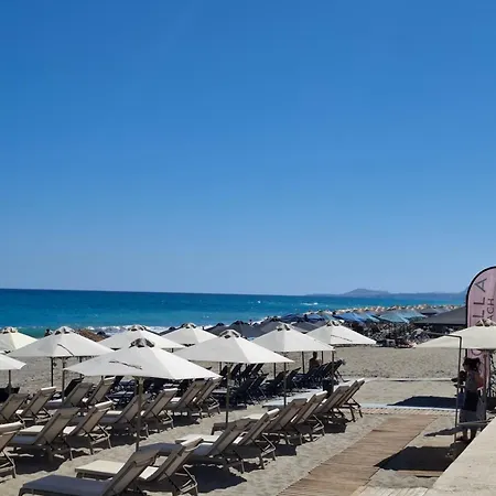 Cactopia Apartments- Hoya-aeonium 公寓