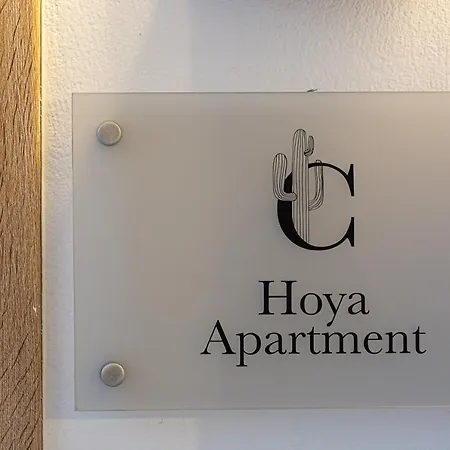 Apartman Cactopia Apartments- Hoya-aeonium *