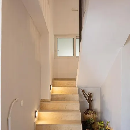 Cactopia Apartments- Hoya-aeonium *