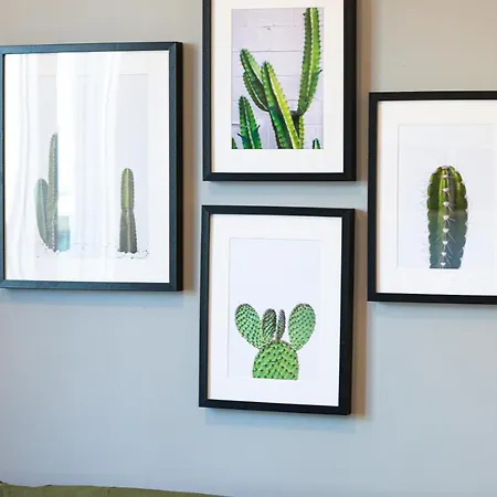 Cactopia Apartments- Hoya-aeonium